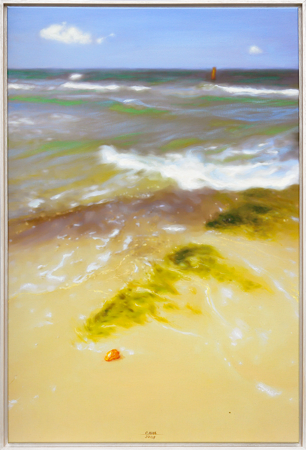 Seetang und des Schatzsuchers Glück